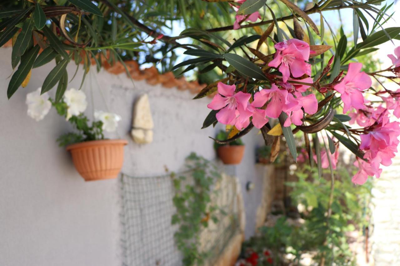 Apartment Sole Poreč Dış mekan fotoğraf