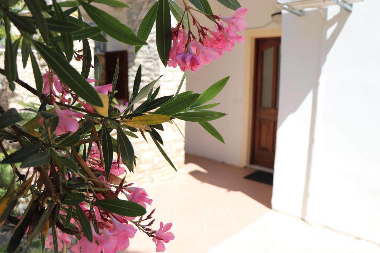Apartment Sole Poreč Dış mekan fotoğraf